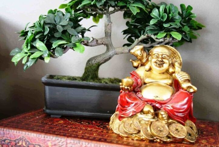 Kalipay ug kauswagan sa panimalay sumala sa Feng Shui