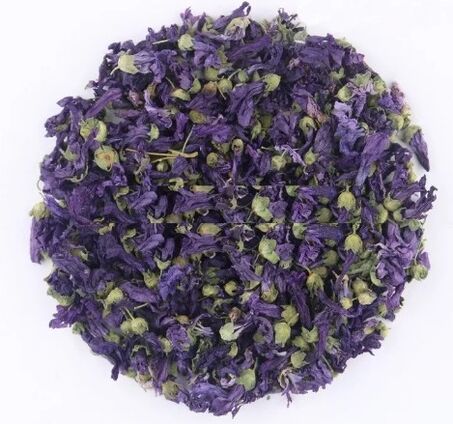 Pinauga nga violet nga mga bulak